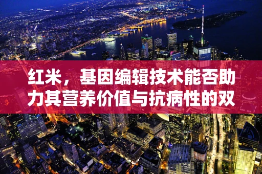 红米，基因编辑技术能否助力其营养价值与抗病性的双重提升？