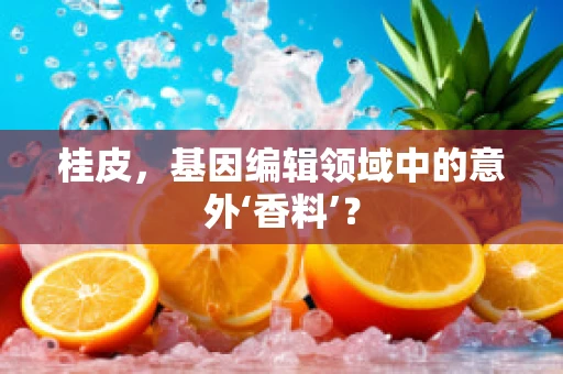 桂皮，基因编辑领域中的意外‘香料’？