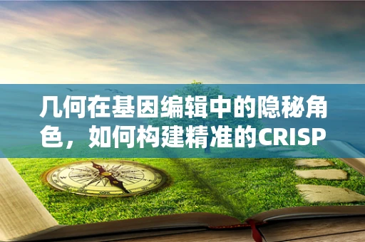 几何在基因编辑中的隐秘角色，如何构建精准的CRISPR复合物？