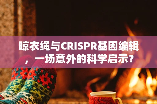 晾衣绳与CRISPR基因编辑，一场意外的科学启示？