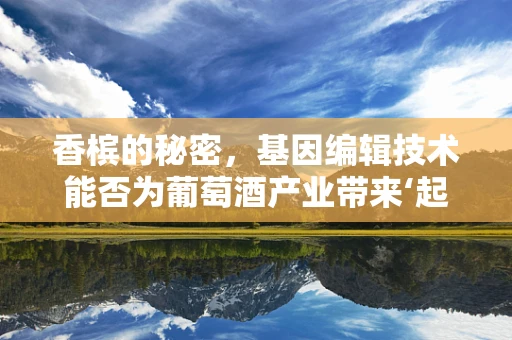 香槟的秘密，基因编辑技术能否为葡萄酒产业带来‘起泡’的革新？
