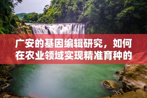 广安的基因编辑研究，如何在农业领域实现精准育种的突破？