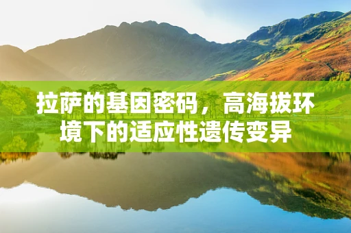 拉萨的基因密码，高海拔环境下的适应性遗传变异