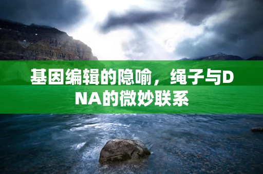 基因编辑的隐喻，绳子与DNA的微妙联系