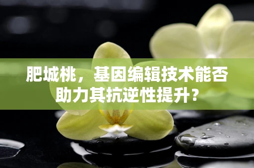 肥城桃，基因编辑技术能否助力其抗逆性提升？