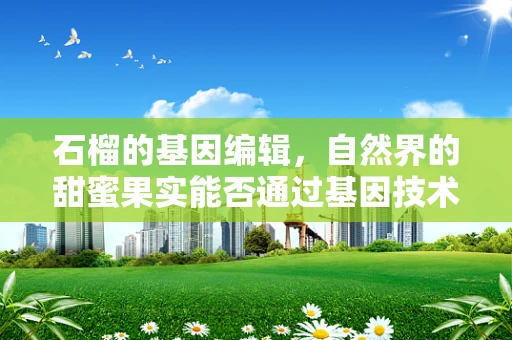 石榴的基因编辑，自然界的甜蜜果实能否通过基因技术更上一层楼？