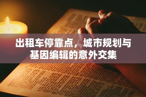 出租车停靠点，城市规划与基因编辑的意外交集