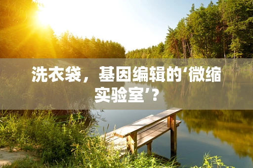 洗衣袋，基因编辑的‘微缩实验室’？