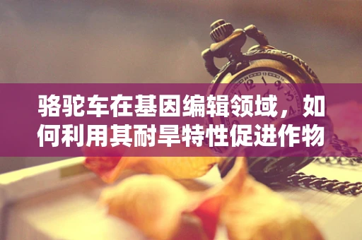 骆驼车在基因编辑领域，如何利用其耐旱特性促进作物改良？
