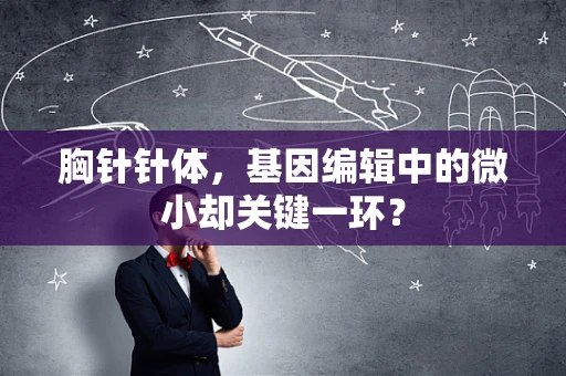 胸针针体，基因编辑中的微小却关键一环？