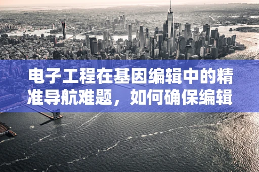 电子工程在基因编辑中的精准导航难题，如何确保编辑的精确性与效率？