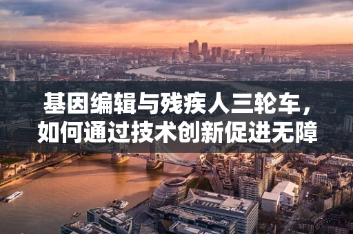 基因编辑与残疾人三轮车，如何通过技术创新促进无障碍出行？