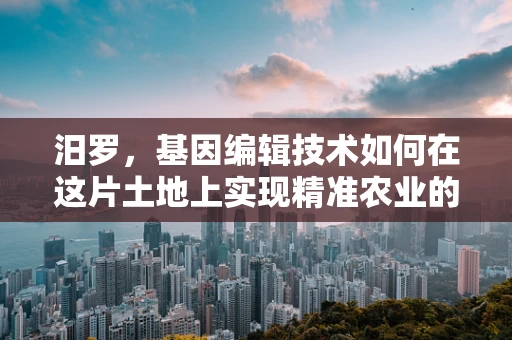 汨罗，基因编辑技术如何在这片土地上实现精准农业的未来？