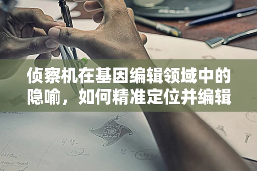 侦察机在基因编辑领域中的隐喻，如何精准定位并编辑遗传信息？