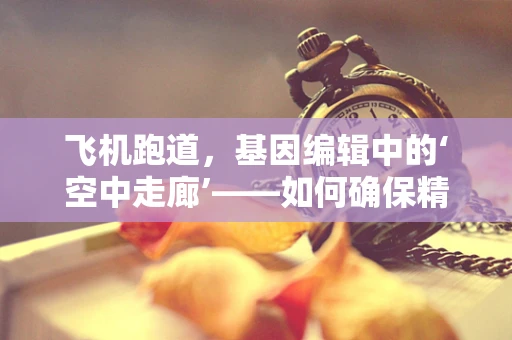 飞机跑道，基因编辑中的‘空中走廊’——如何确保精准无误？