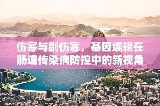 伤寒与副伤寒，基因编辑在肠道传染病防控中的新视角？