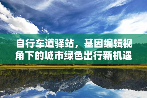 自行车道驿站，基因编辑视角下的城市绿色出行新机遇？