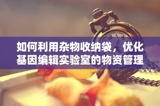 如何利用杂物收纳袋，优化基因编辑实验室的物资管理？