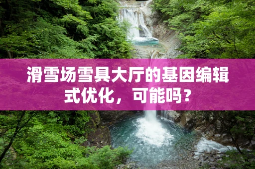 滑雪场雪具大厅的基因编辑式优化，可能吗？