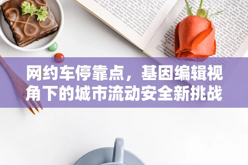 网约车停靠点，基因编辑视角下的城市流动安全新挑战？