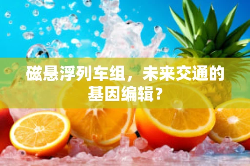磁悬浮列车组，未来交通的基因编辑？