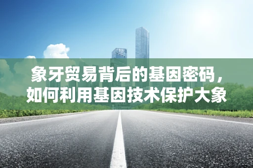 象牙贸易背后的基因密码，如何利用基因技术保护大象免遭盗猎？