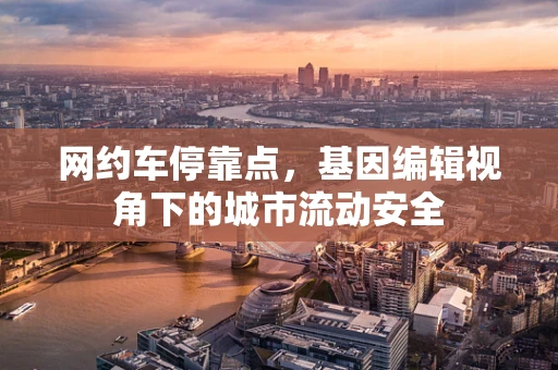 网约车停靠点，基因编辑视角下的城市流动安全