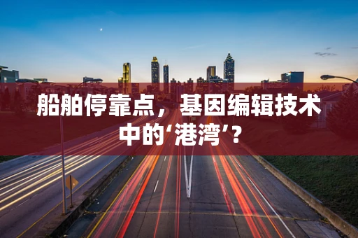 船舶停靠点，基因编辑技术中的‘港湾’？