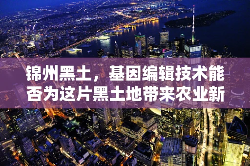 锦州黑土，基因编辑技术能否为这片黑土地带来农业新希望？