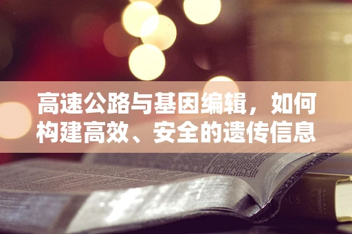 高速公路与基因编辑，如何构建高效、安全的遗传信息传输网络？