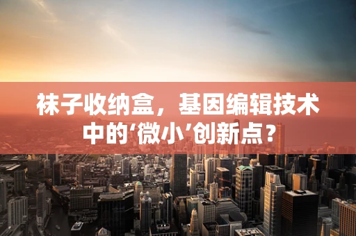 袜子收纳盒，基因编辑技术中的‘微小’创新点？