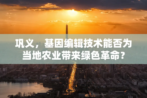 巩义，基因编辑技术能否为当地农业带来绿色革命？