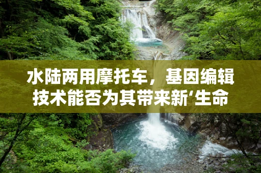 水陆两用摩托车，基因编辑技术能否为其带来新‘生命力’？