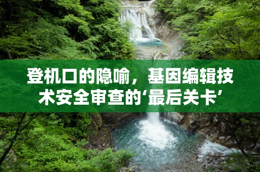 登机口的隐喻，基因编辑技术安全审查的‘最后关卡’