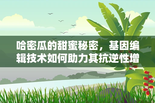 哈密瓜的甜蜜秘密，基因编辑技术如何助力其抗逆性增强？