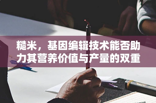 糙米，基因编辑技术能否助力其营养价值与产量的双重提升？