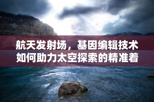 航天发射场，基因编辑技术如何助力太空探索的精准着陆？