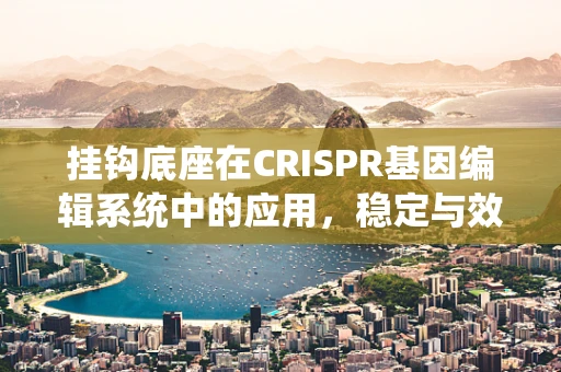 挂钩底座在CRISPR基因编辑系统中的应用，稳定与效率的双重挑战