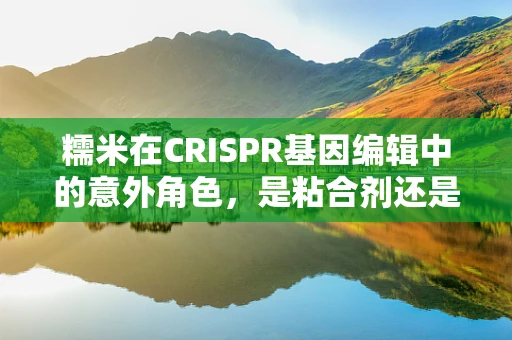 糯米在CRISPR基因编辑中的意外角色，是粘合剂还是绊脚石？