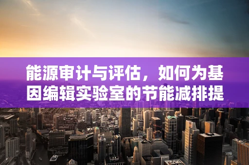 能源审计与评估，如何为基因编辑实验室的节能减排提供精准数据支持？