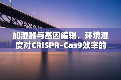 加湿器与基因编辑，环境湿度对CRISPR-Cas9效率的潜在影响
