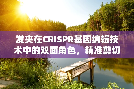 发夹在CRISPR基因编辑技术中的双面角色，精准剪切与潜在风险