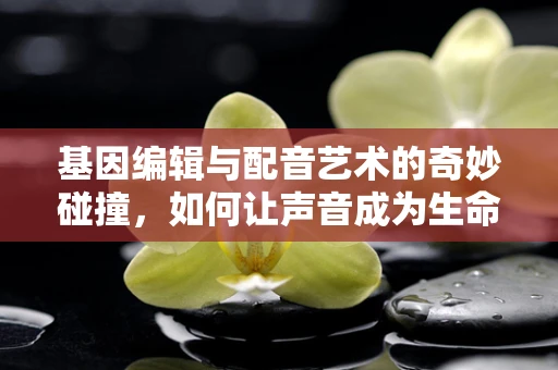 基因编辑与配音艺术的奇妙碰撞，如何让声音成为生命的‘编辑器’？