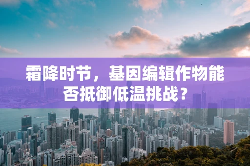霜降时节，基因编辑作物能否抵御低温挑战？