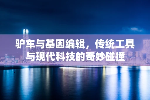 驴车与基因编辑，传统工具与现代科技的奇妙碰撞