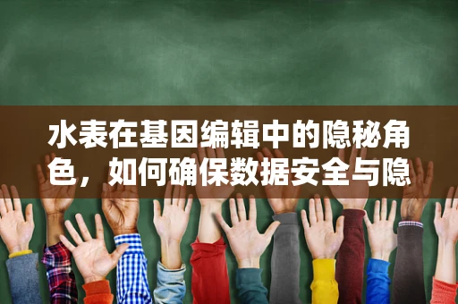 水表在基因编辑中的隐秘角色，如何确保数据安全与隐私？