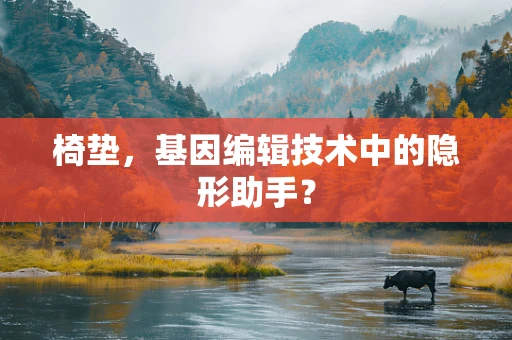 椅垫，基因编辑技术中的隐形助手？