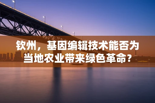 钦州，基因编辑技术能否为当地农业带来绿色革命？