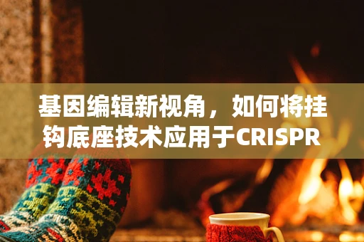 基因编辑新视角，如何将挂钩底座技术应用于CRISPR系统的稳定性增强？