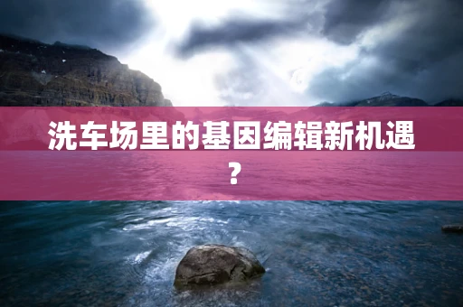 洗车场里的基因编辑新机遇？